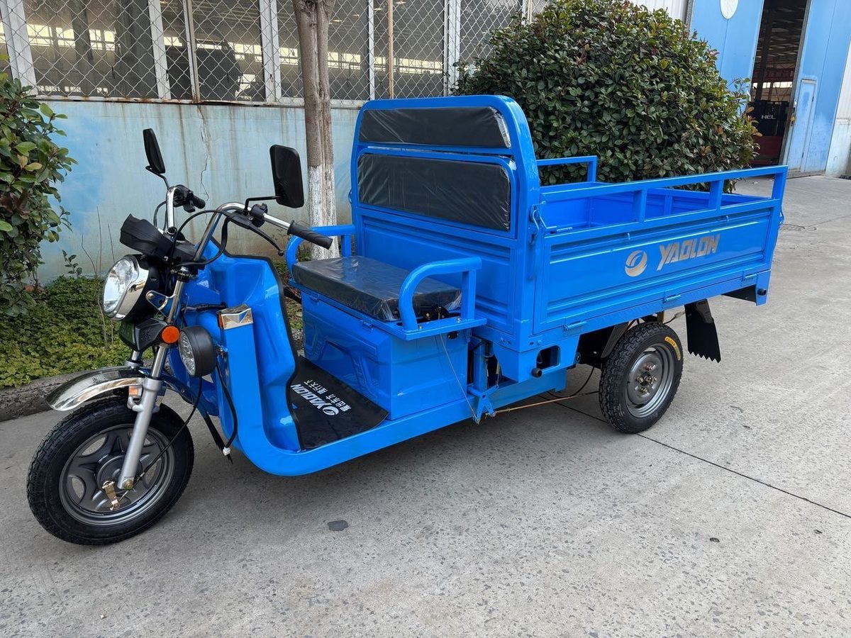 BLUE CARGA 1000W, foto 6